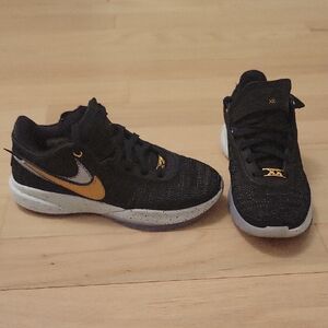 Nike LeBron XX size 7